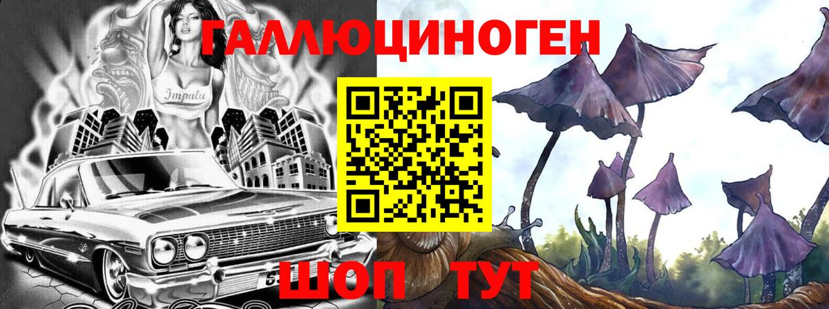 Псилоцибиновые грибы мицелий  Вход с VPN  Сухой Лог 