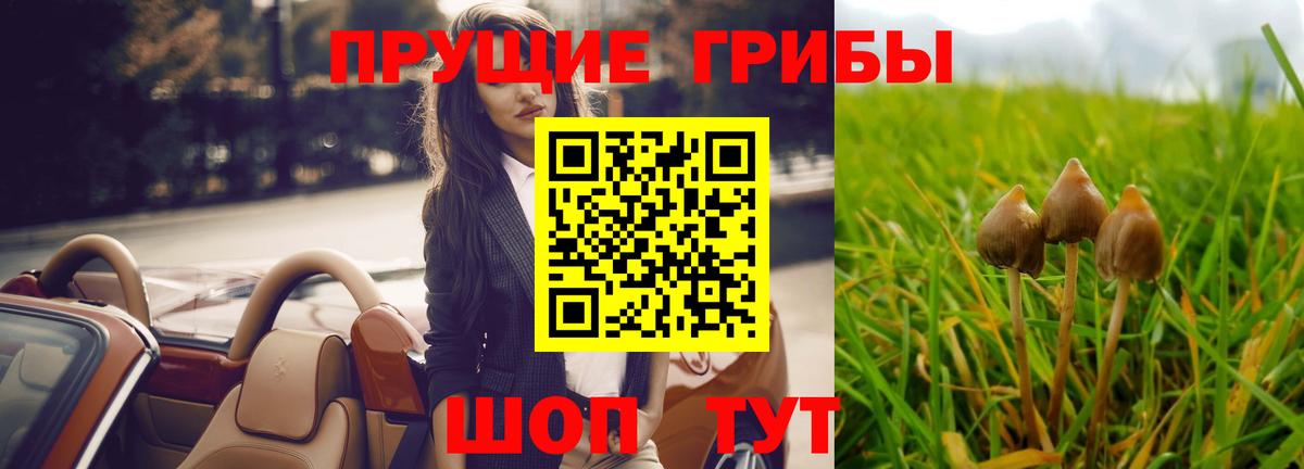 Псилоцибиновые грибы GOLDEN TEACHER Сухой Лог