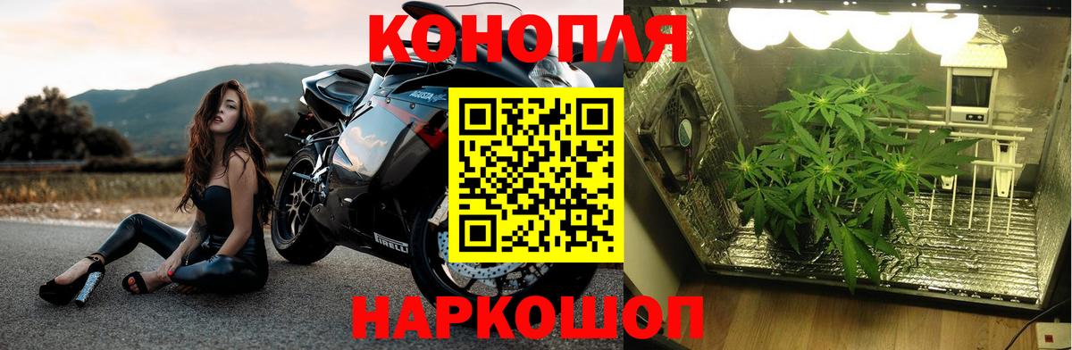Марихуана марихуана  Вход с VPN  Шишки марихуана SATIVA & INDICA  Канабис OG Kush  Сухой Лог 